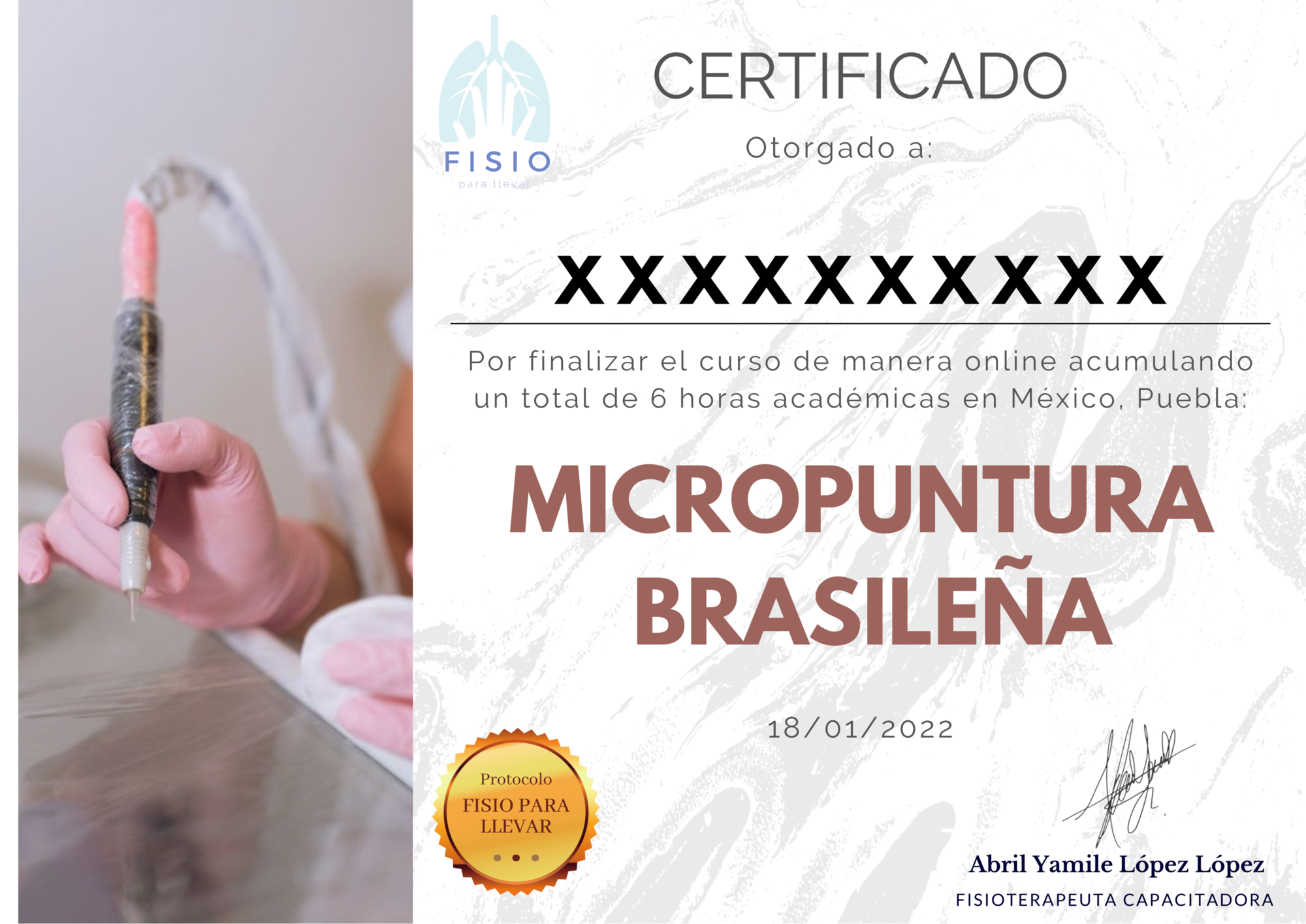 Certificado del curso micropuntura brasileña